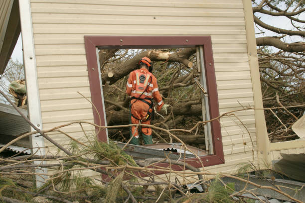 Best Emergency Tree Removal  in Montrose, CO